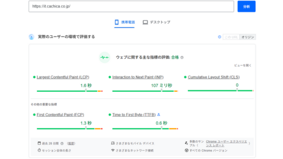 PageSpeed Insights分析結果の例①
