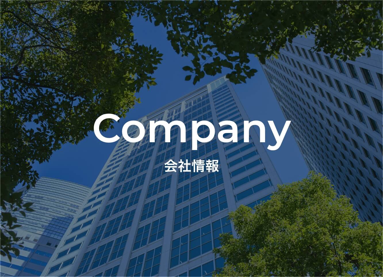 会社情報